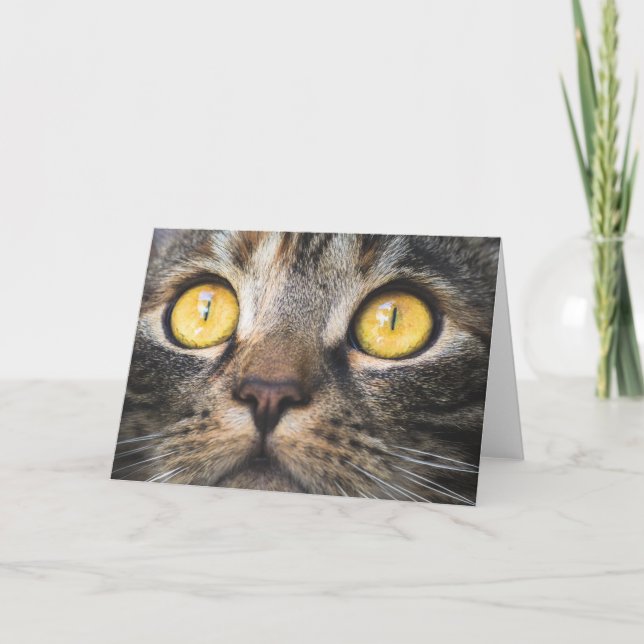 Close-up of Cat with Yellow Eyes Card (Front)
