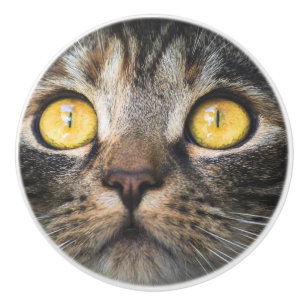 Close-up of Cat with Yellow Eyes Ceramic Knob