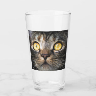 Close-up of Cat with Yellow Eyes Glass