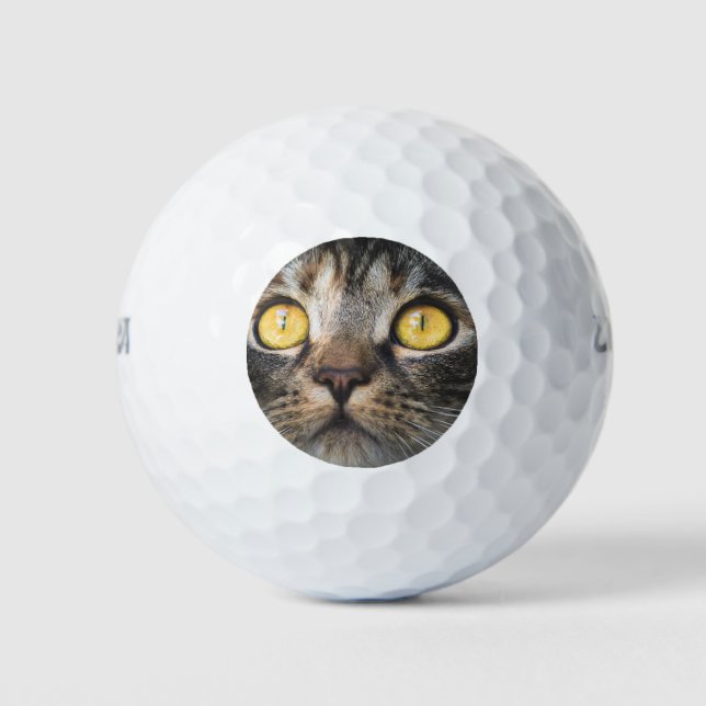 Close-up of Cat with Yellow Eyes Golf Balls (Front)