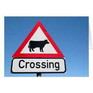 Close-Up Of Cattle Crossing Sign. Western Cape