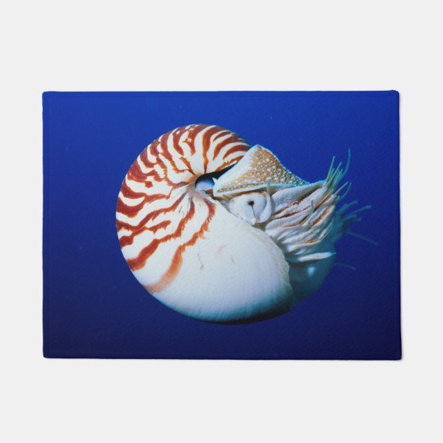 Close-Up Of Chambered Nautilus Doormat (Front)