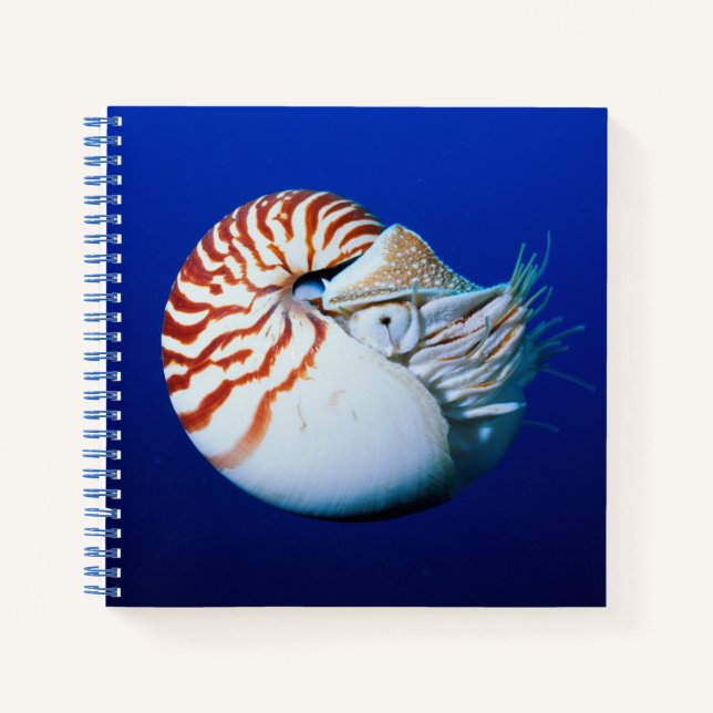 Close-Up Of Chambered Nautilus Notebook (Front)