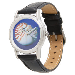 Close-Up Of Chambered Nautilus Watch