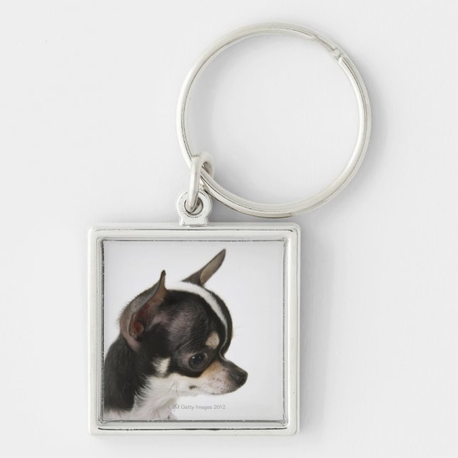 Close-up of Chihuahua, side view Key Ring (Front)