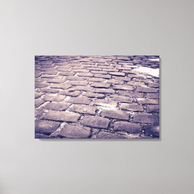Close Up Of Cobblestone Street Canvas Print (Front)