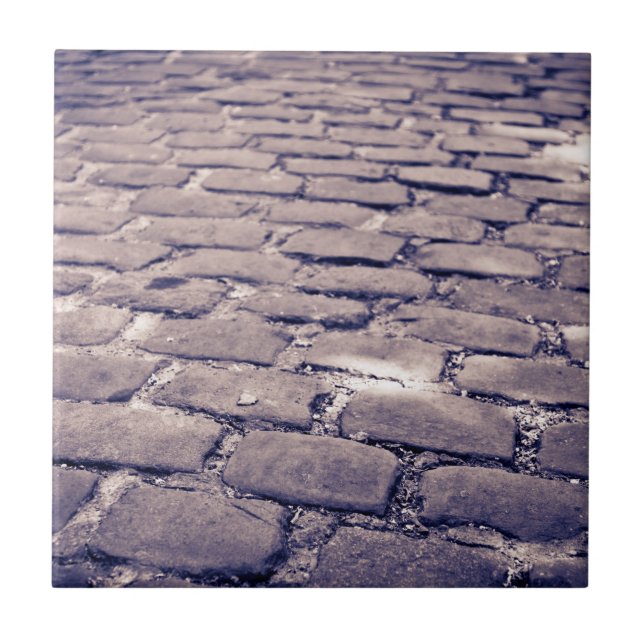 Close Up Of Cobblestone Street Tile (Front)