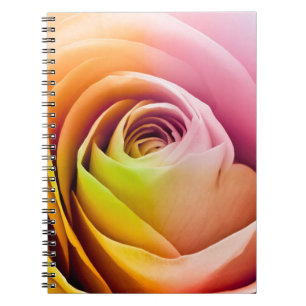 Close up of Colourful Rose Petals Spiral Notebook