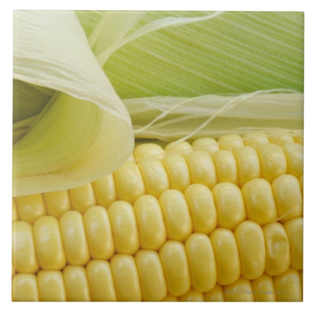 Close up of corn tile (Front)