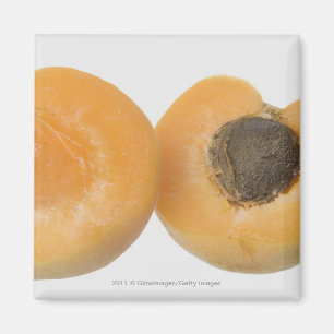 Close-up of cross section of an plum magnet