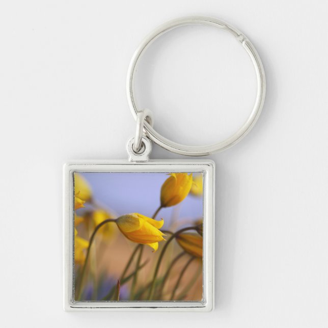 Close-up of daffodils key ring (Front)
