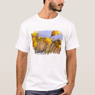 Close-up of daffodils T-Shirt