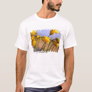 Close-up of daffodils T-Shirt