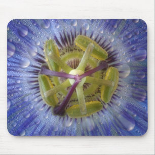 Close-up of dewy passion flower. Credit as: Don Mouse Pad