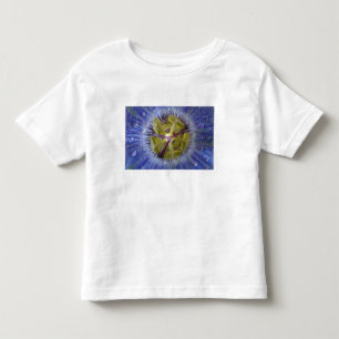 Close-up of dewy passion flower. Credit as: Don Toddler T-Shirt