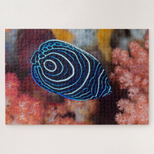 Close-up of Emperor Angelfish Jigsaw Puzzle