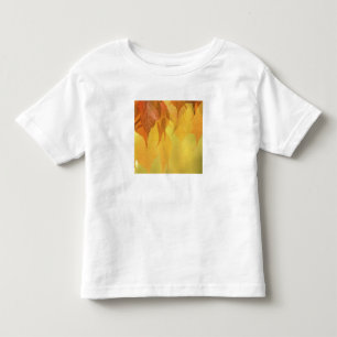 Close-up of Fall Leaves on a Branch Toddler T-Shirt