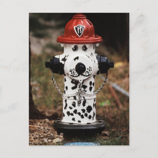 Close-Up of Fire Hydrant Postcard (Front)