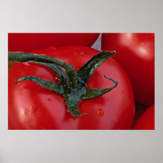 Close-up of fresh tomato poster