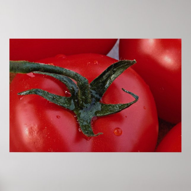 Close-up of fresh tomato poster (Front)