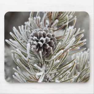 Close-up of frozen pine cone, Yellowstone Mouse Pad