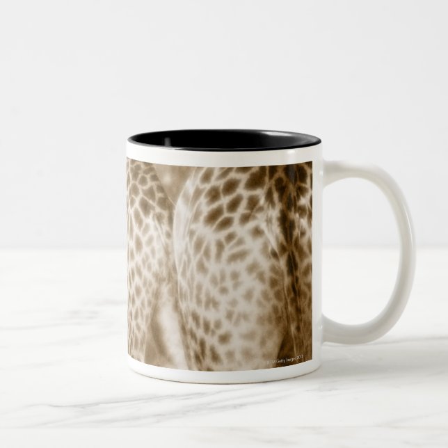 Close-Up of Giraffes Kruger National Park South Two-Tone Coffee Mug (Right)