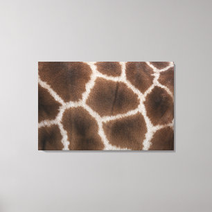 Close up of Giraffes Skin Canvas Print