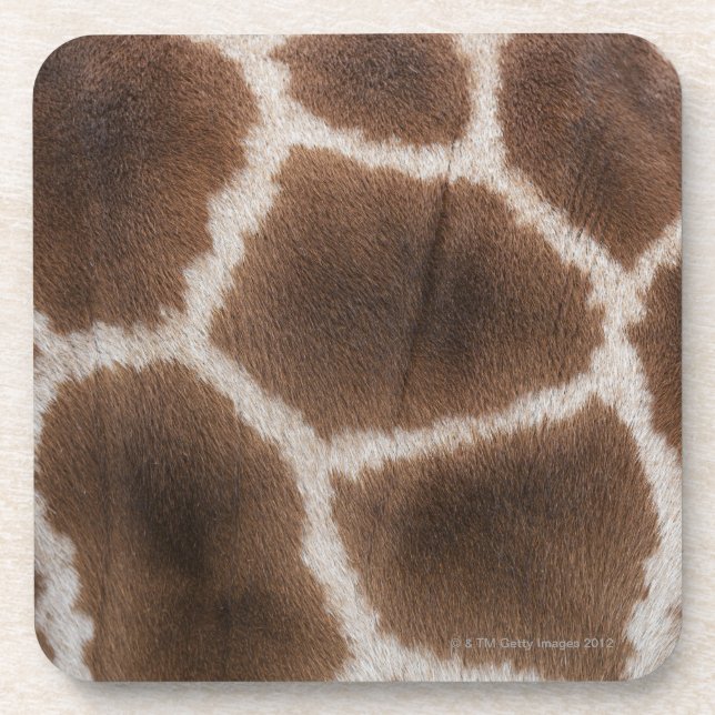 Close up of Giraffes Skin Coaster (Front)