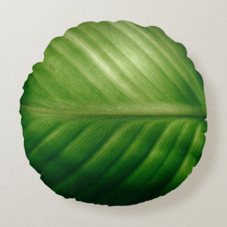 Close-up of green elaf round cushion