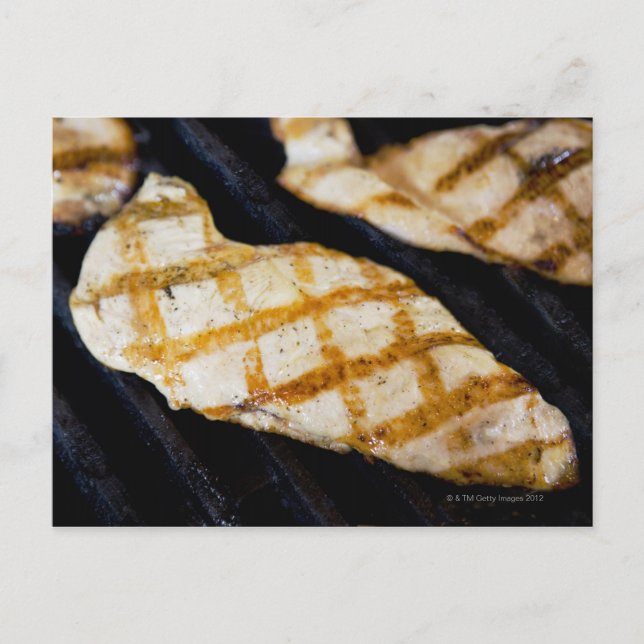 Close-up of grilled chicken breasts postcard (Front)