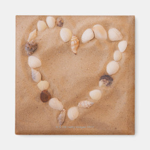 Close up of heart shape made of shells on sand magnet