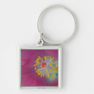 Close-up of Hibiscus flower stamen, Hibiscus Key Ring