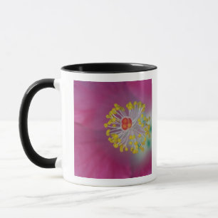 Close-up of Hibiscus flower stamen, Hibiscus Mug