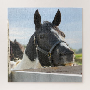 Close up of Horse Chewing Fence Jigsaw Puzzle