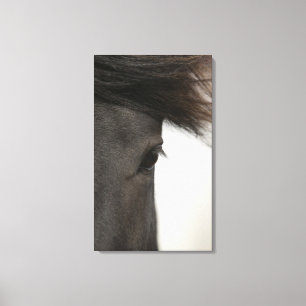 Close-up of  horse eye and hair canvas print