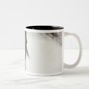 Close-up of horse eye and hair Two-Tone coffee mug