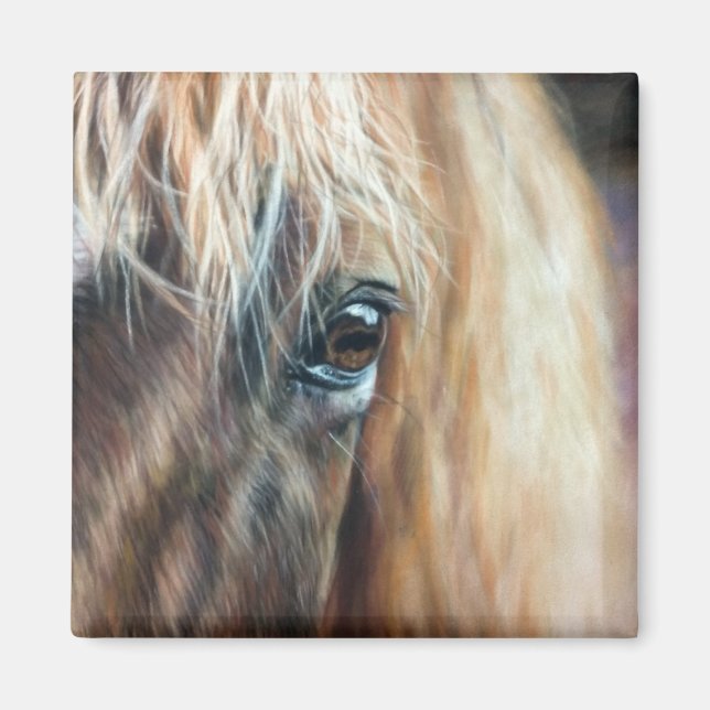 Close up of horse eye magnet (Front)