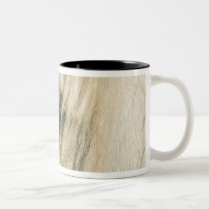 Close-up of Horse eye Two-Tone Coffee Mug