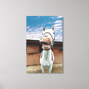 Close-up of Horse with Mouth Open Canvas Print
