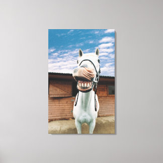 Close-up of Horse with Mouth Open Canvas Print