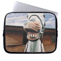 Close-up of Horse with Mouth Open
