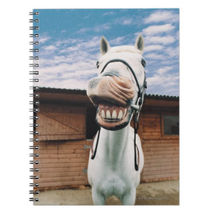 Close-up of Horse with Mouth Open Spiral Notebook