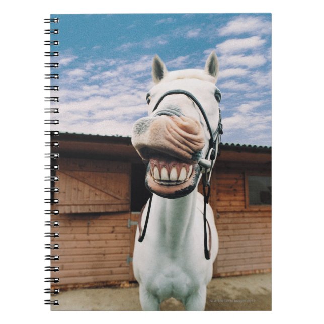 Close-up of Horse with Mouth Open Spiral Notebook (Front)