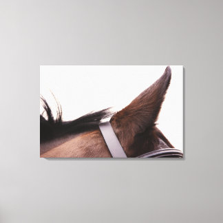 close-up of horses ear with bridal canvas print