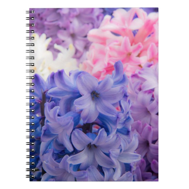 Close-up of Hyacinth plant Spiral Notebook (Front)