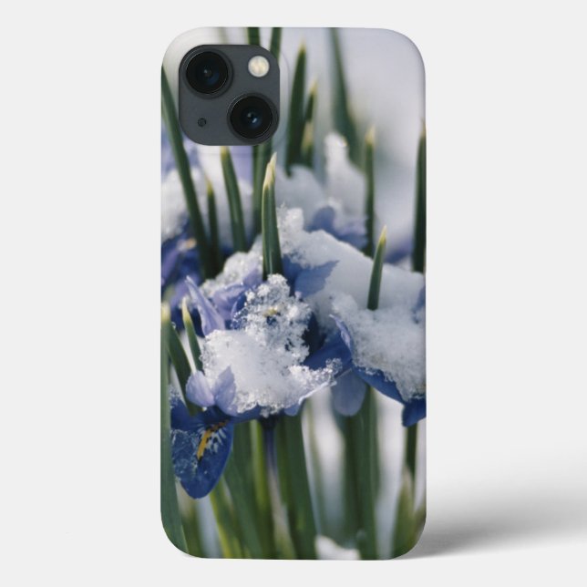 Close-up of Iris Case-Mate iPhone Case (Back)