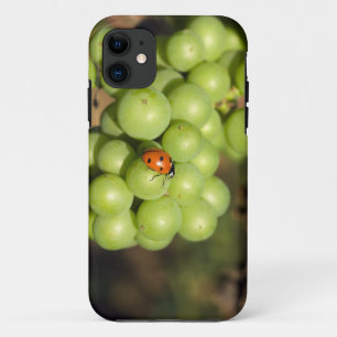 Close up of lady bug on green Pinot Noir grapes Case-Mate iPhone Case