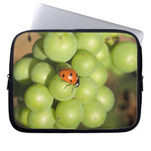 Close up of lady bug on green Pinot Noir grapes Laptop Sleeve