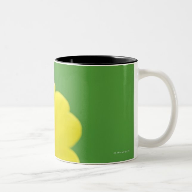 Close-Up of Ladybug Two-Tone Coffee Mug (Right)