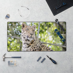 Close up of Leopard Face Photo Desk Mat